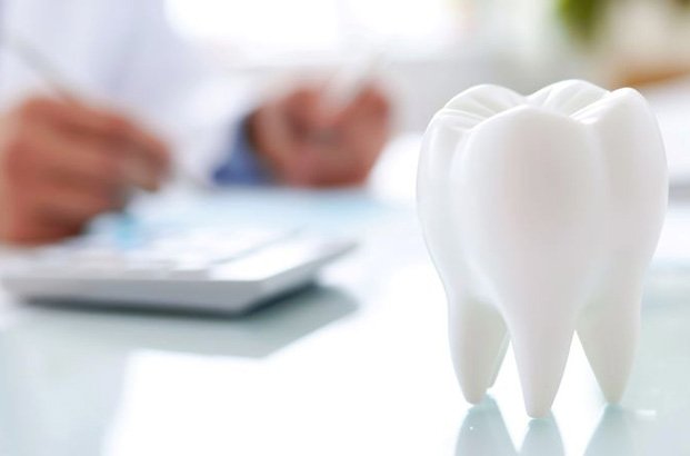 Tooth model in foreground, person doing paperwork in background